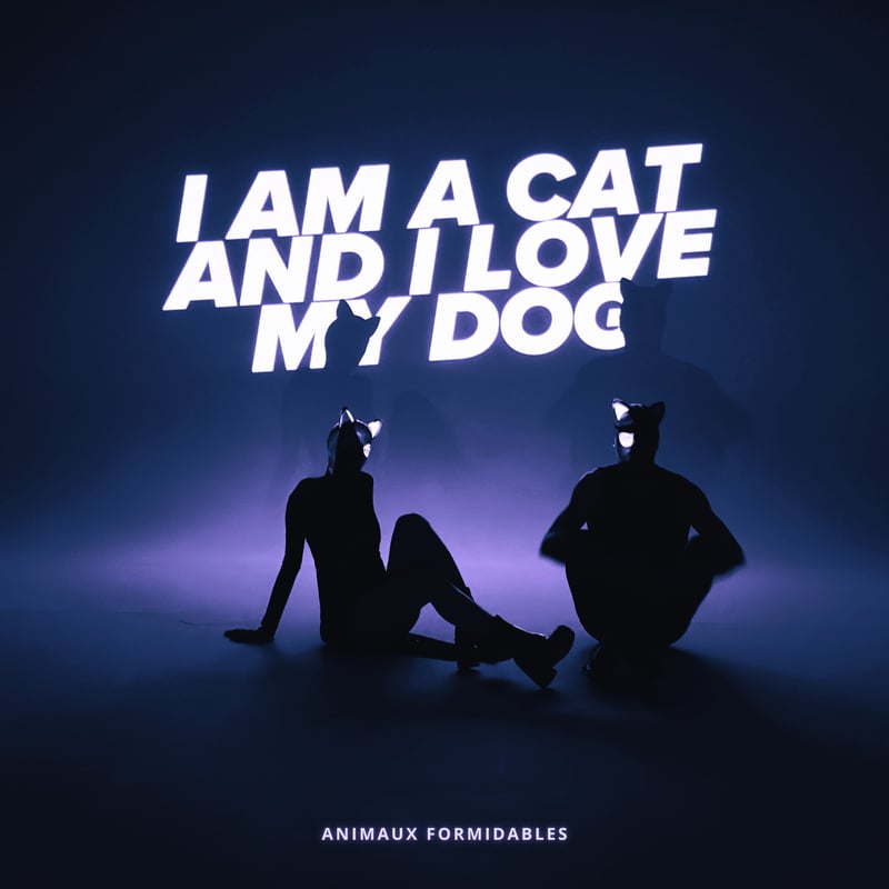 – I Am a Cat and I Love My Dog